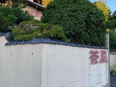 茶風