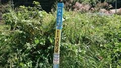 「作木支所前」バス停留所