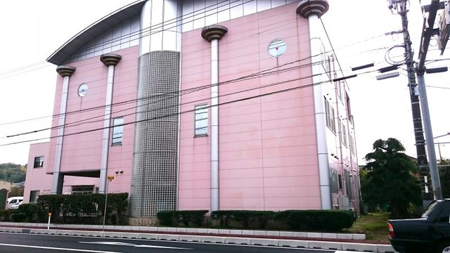千鳥