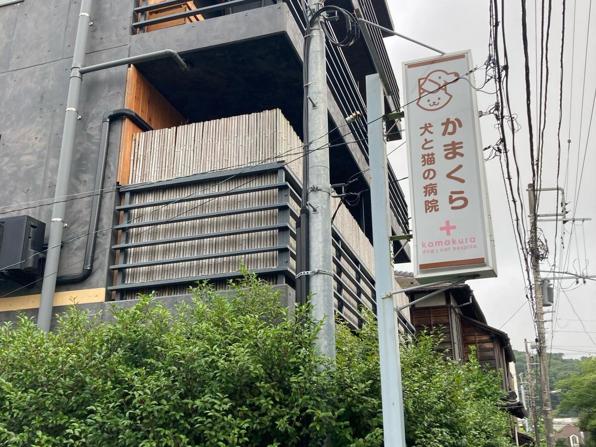 かまくら犬と猫の病院