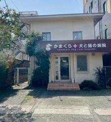 かまくら犬と猫の病院