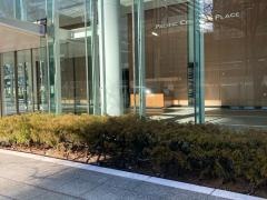 スコシア・セキュリティーズ・アジア・リミテッド　東京支店