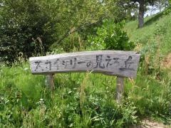 野見金公園