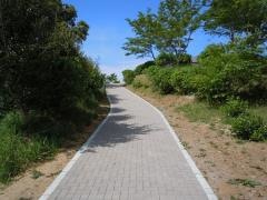 野見金公園