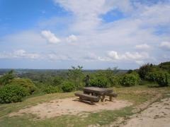 野見金公園