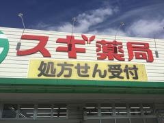 スギ薬局　岩滑店