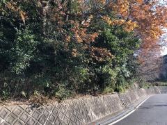 あかつき台緑地