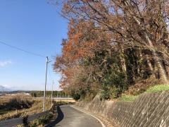 あかつき台緑地