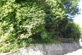 山下町緑地