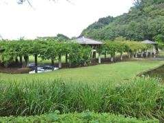 県立東郷湖羽合臨海公園