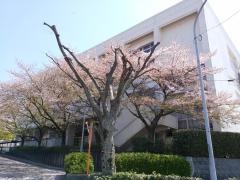 春日市立春日野中学校
