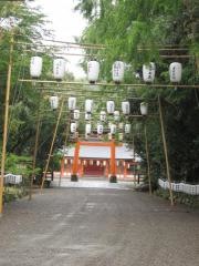 夏越大祭