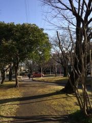 紫原緑地