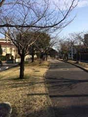 紫原緑地