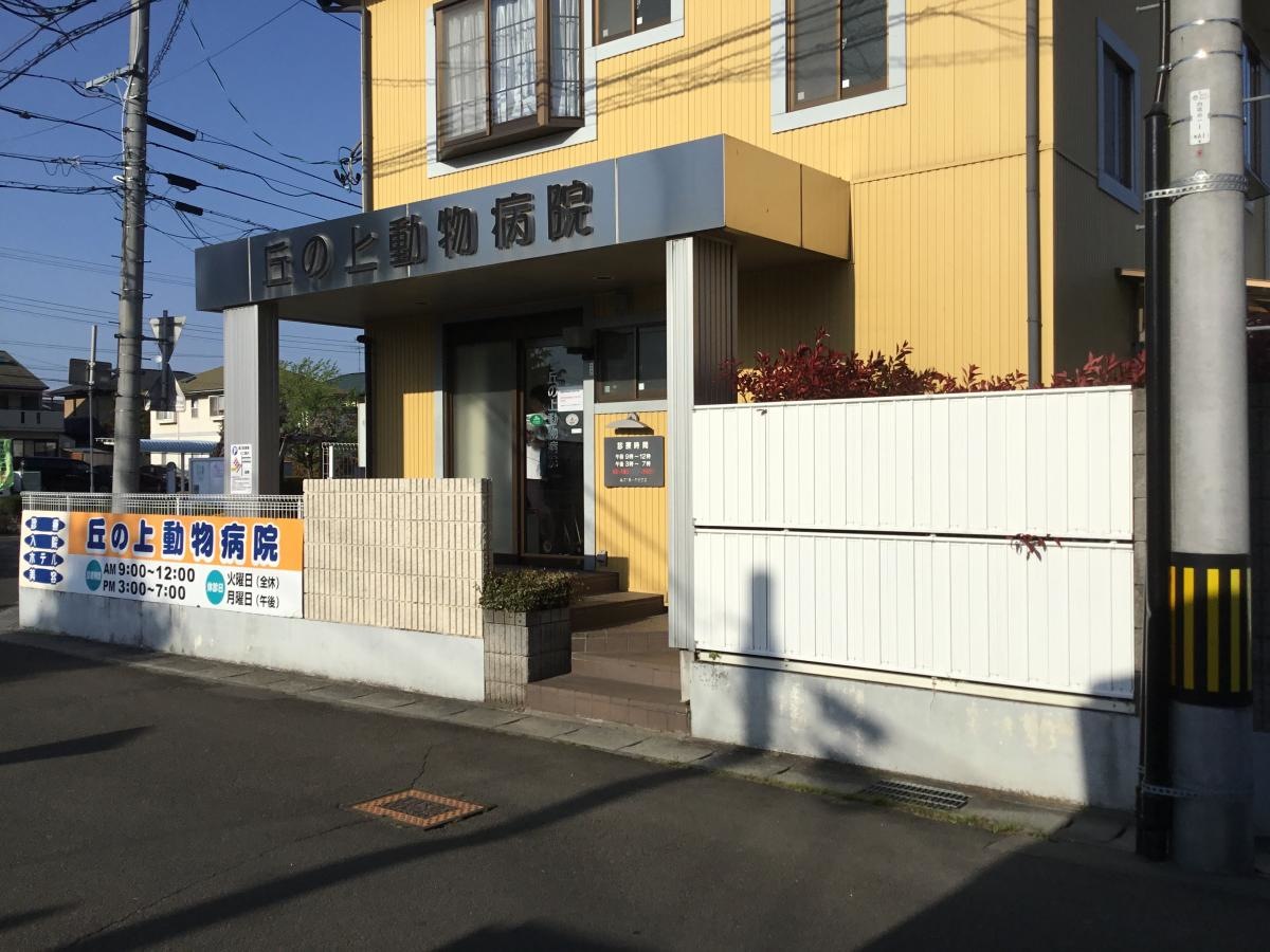 丘の上動物病院です。