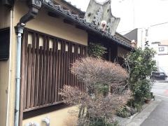 天春