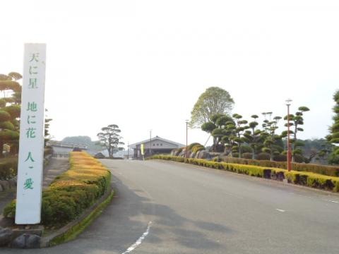 嘉祥園 雰囲気