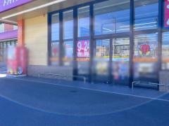 ドラッグストアモリ　日南平野店