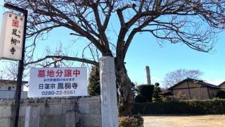 鳳桐寺