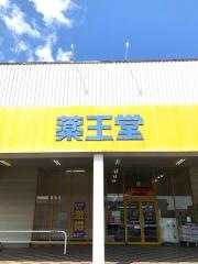 薬王堂岩手紫波店