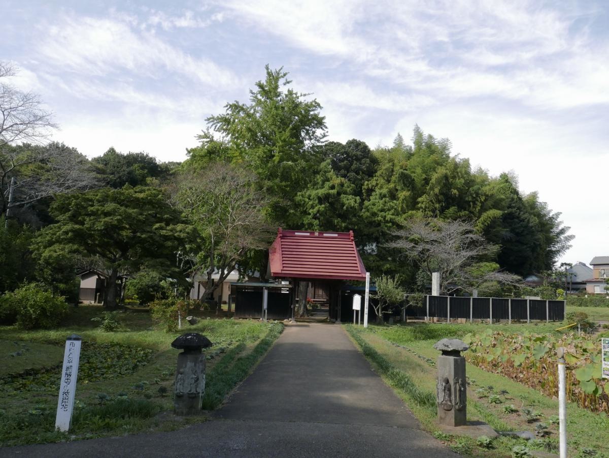 山門周辺