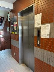 ウッドベル
