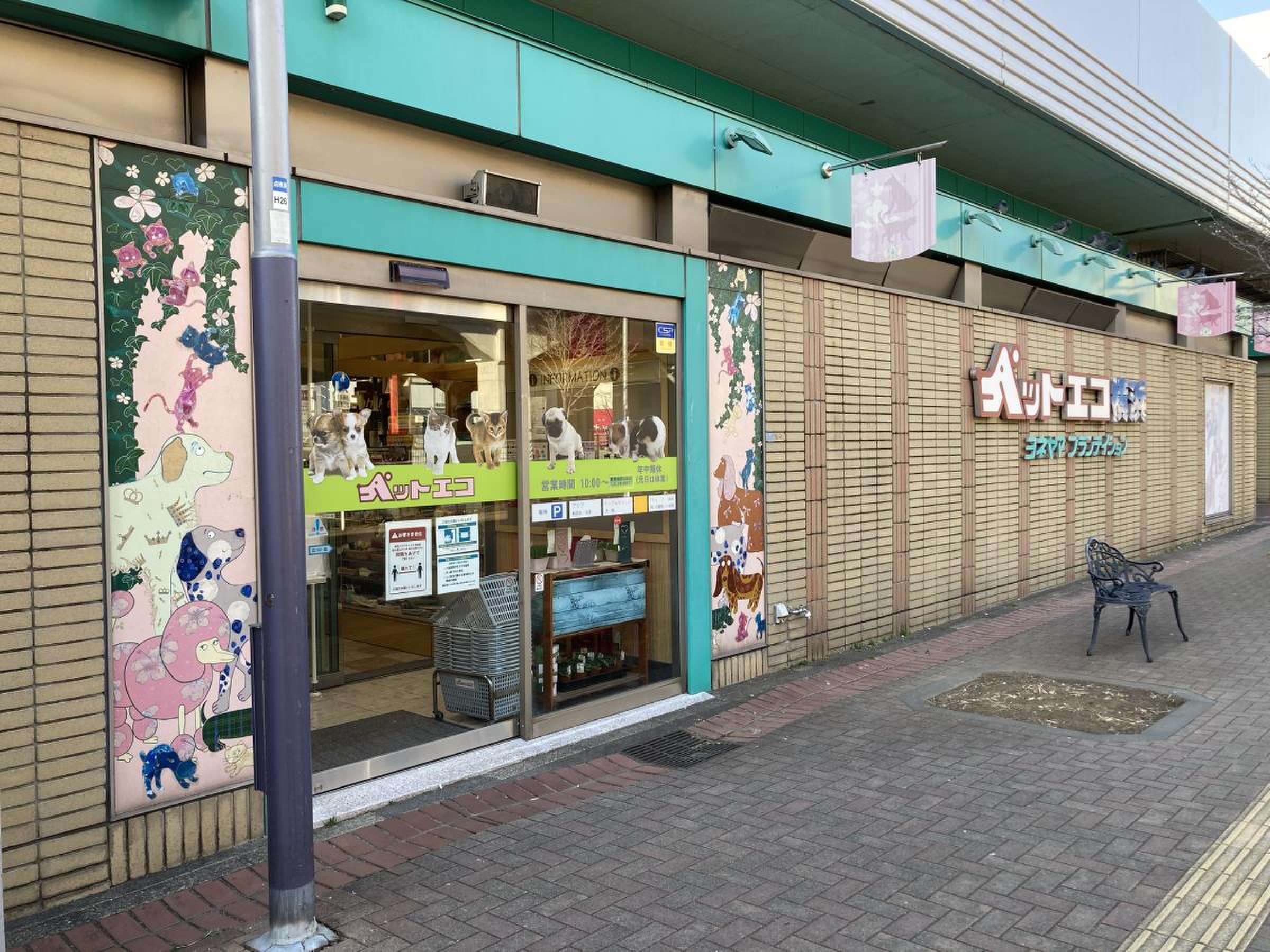 活動歴および当時の関連ビジュアル記録