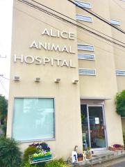 アリス動物病院