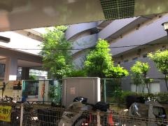 第一中国気功整体院