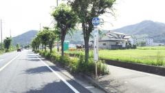 「本郷(四郷町)」バス停留所
