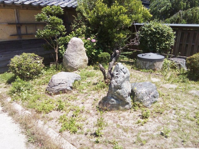 やまもも