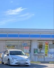 ローソン 佐野上羽田町店