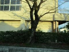 長良西小学校