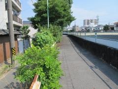 扇川街園