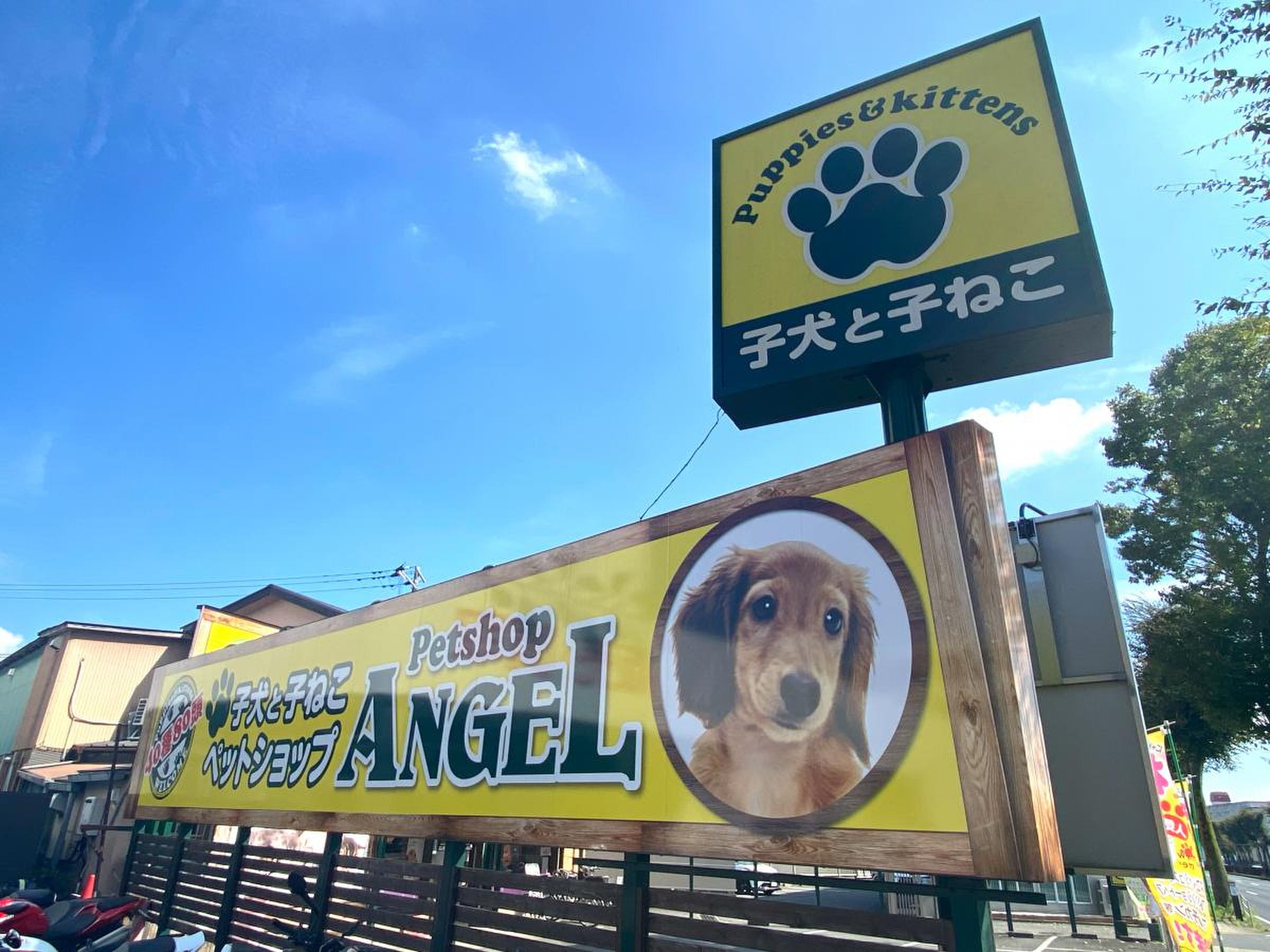活動歴および当時の関連ビジュアル記録
