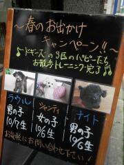 ドギーズ神戸店