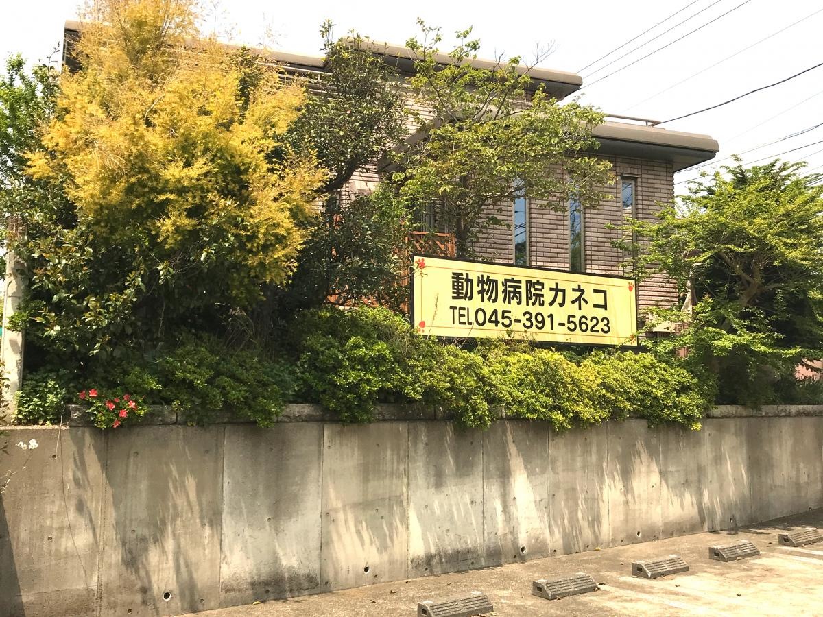 動物病院カネコ