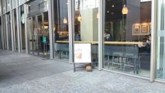 スターバックスコーヒー　北の丸スクエア店