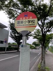 「蓬莱小学校」バス停留所