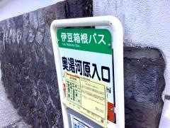 「奥湯河原入口」バス停留所