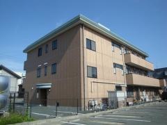 そよ風