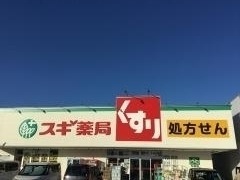 スギ薬局　桑名東店