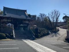 妙蓮寺
