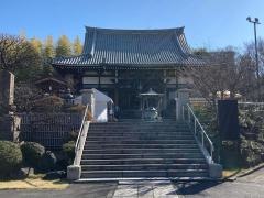 妙蓮寺
