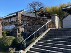 妙蓮寺