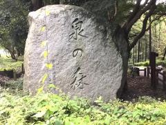 泉の森