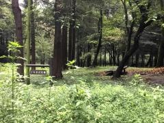 泉の森