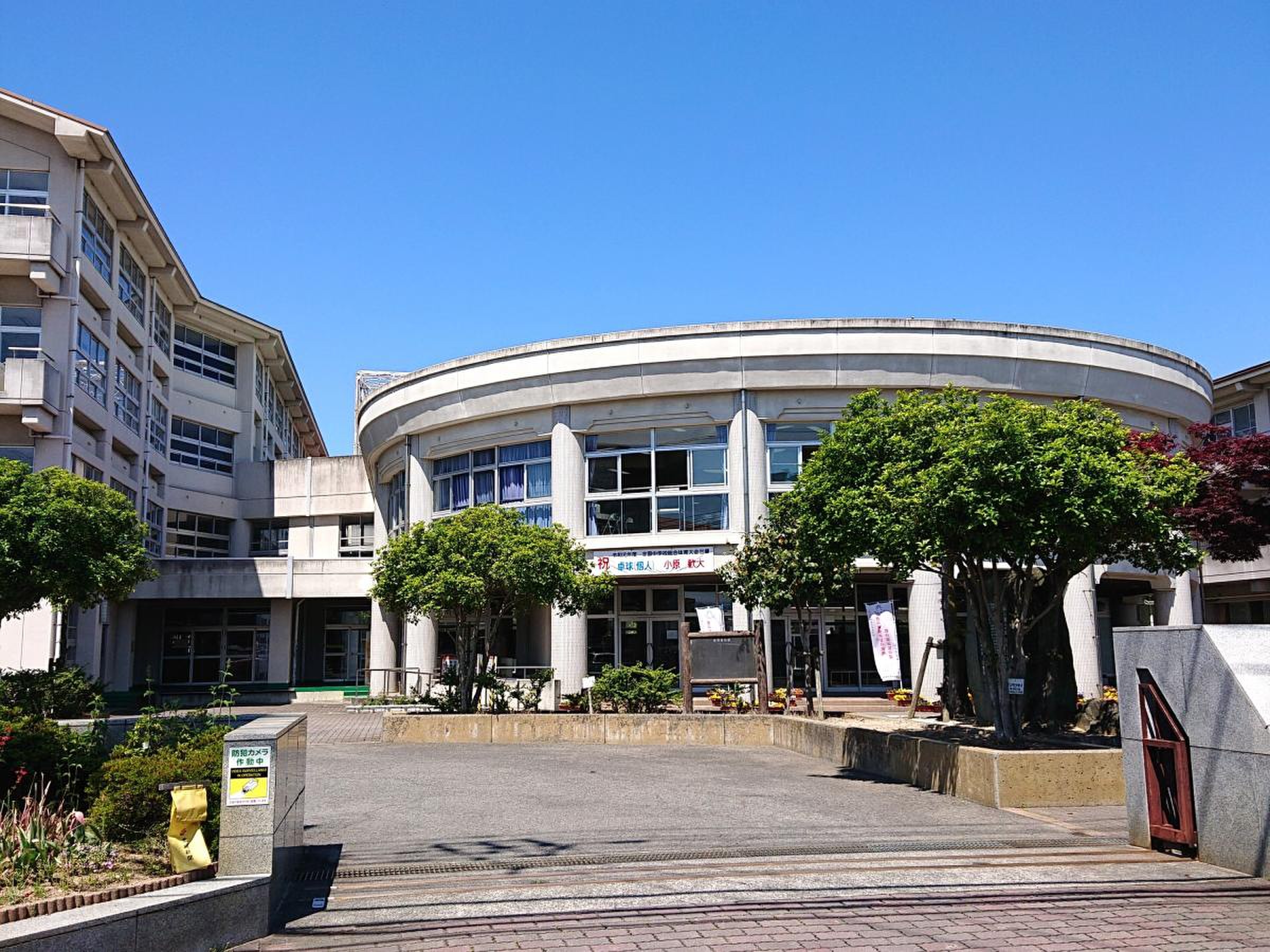 活動歴および当時の関連ビジュアル記録