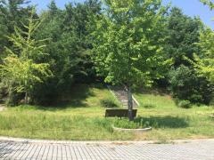 宮の台中央公園