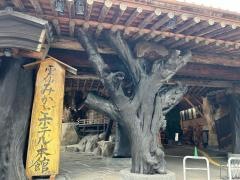 雲仙みかどホテル